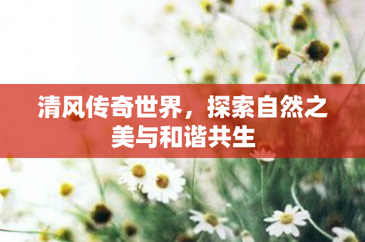 清风传奇世界，探索自然之美与和谐共生