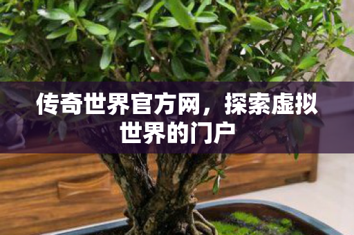 传奇世界官方网，探索虚拟世界的门户