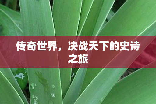 传奇世界，决战天下的史诗之旅
