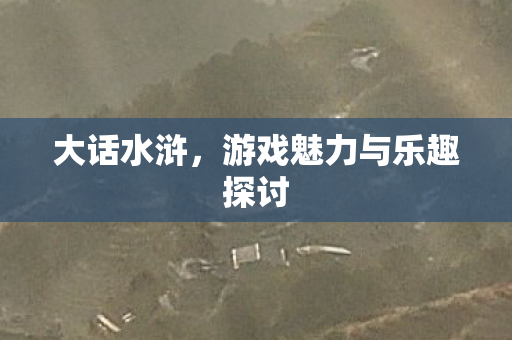 大话水浒，游戏魅力与乐趣探讨