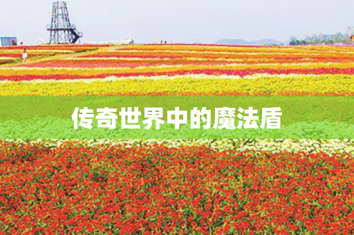 传奇世界中的魔法盾