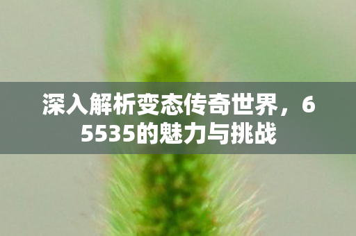 深入解析变态传奇世界，65535的魅力与挑战