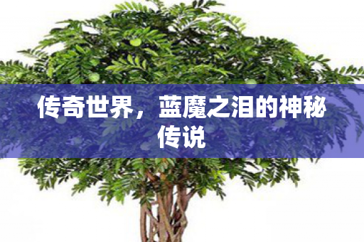 传奇世界，蓝魔之泪的神秘传说