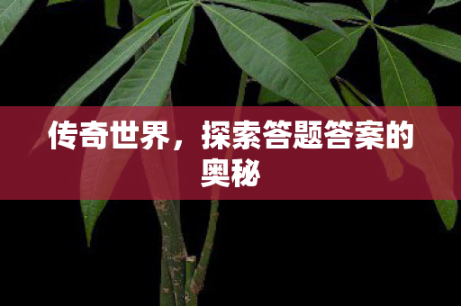 传奇世界，探索答题答案的奥秘