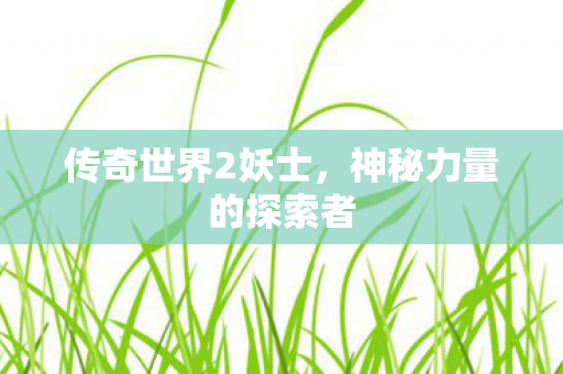 传奇世界2妖士，神秘力量的探索者