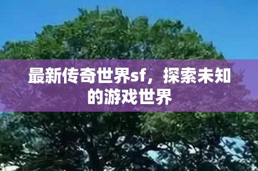 最新传奇世界sf，探索未知的游戏世界
