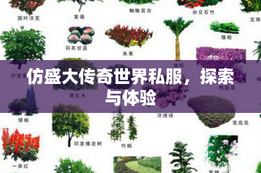 仿盛大传奇世界私服,探索与体验 仿盛大传奇世界私服,探索与体验