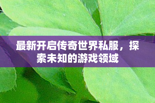 最新开启传奇世界私服，探索未知的游戏领域