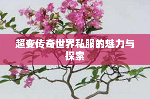超变传奇世界私服的魅力与探索