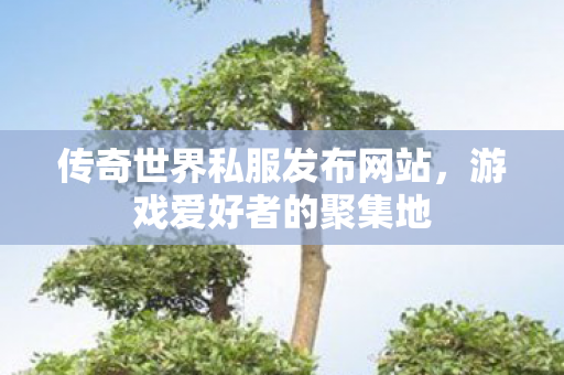 传奇世界私服发布网站，游戏爱好者的聚集地