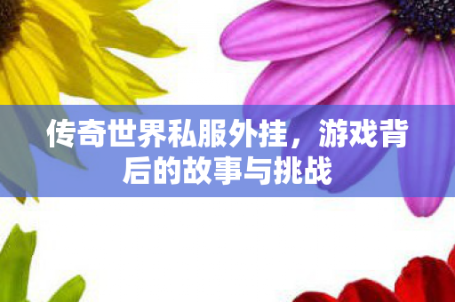 传奇世界私服外挂，游戏背后的故事与挑战