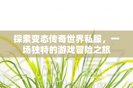 探索变态传奇世界私服，一场独特的游戏冒险之旅