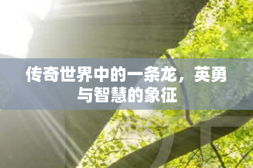 传奇世界中的一条龙，英勇与智慧的象征
