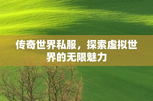 传奇世界私服，探索虚拟世界的无限魅力
