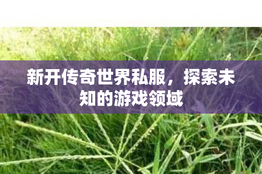 新开传奇世界私服,探索未知的游戏领域 新开传奇世界私服,探索未知的游戏领域