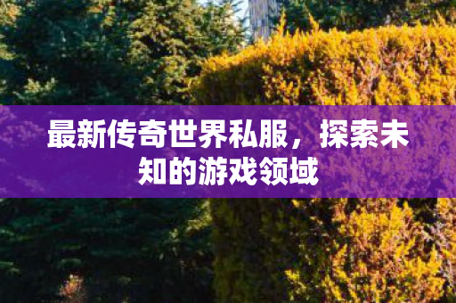 最新传奇世界私服,探索未知的游戏领域 最新传奇世界私服,探索未知的游戏领域