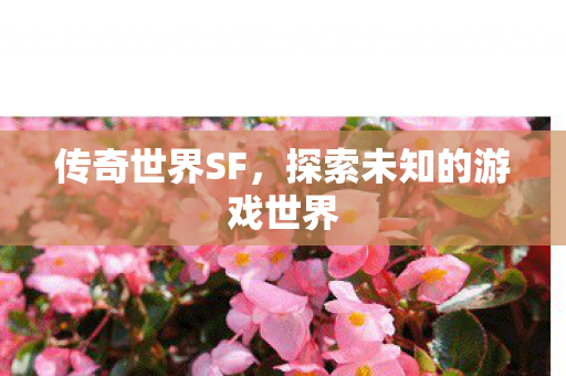 传奇世界SF,探索未知的游戏世界 传奇世界SF,探索未知的游戏世界