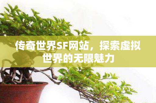 传奇世界SF网站，探索虚拟世界的无限魅力