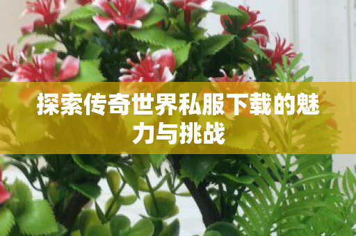 探索传奇世界私服下载的魅力与挑战