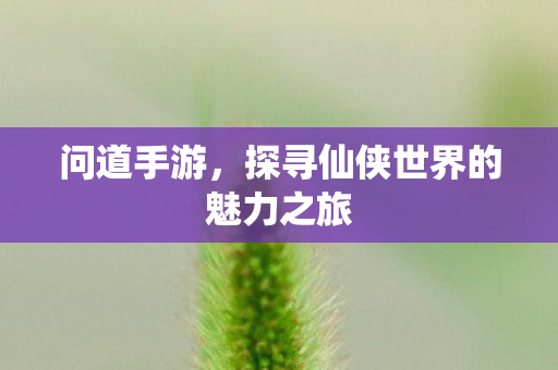 问道手游，探寻仙侠世界的魅力之旅