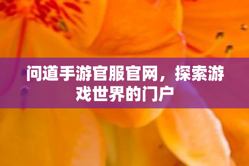问道手游官服官网，探索游戏世界的门户