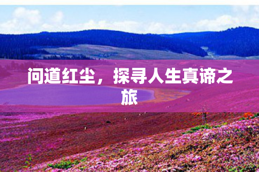问道红尘,探寻人生真谛之旅 问道红尘,探寻人生真谛之旅