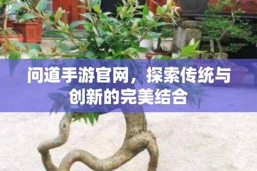 问道手游官网，探索传统与创新的完美结合