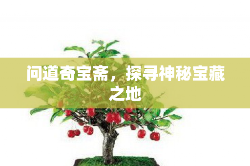 问道奇宝斋，探寻神秘宝藏之地