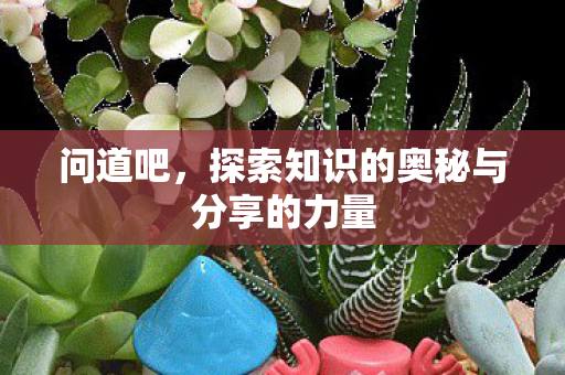问道吧，探索知识的奥秘与分享的力量