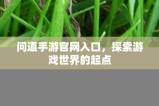 问道手游官网入口，探索游戏世界的起点