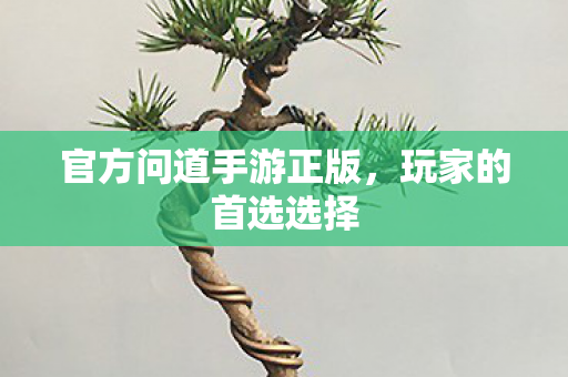 官方问道手游正版，玩家的首选选择