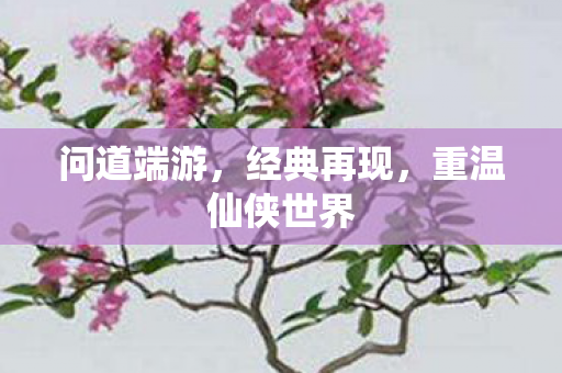 问道端游，经典再现，重温仙侠世界