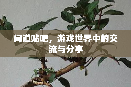 问道贴吧，游戏世界中的交流与分享