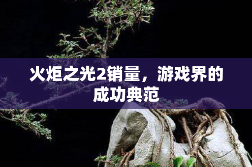 火炬之光2销量,游戏界的成功典范 火炬之光2销量,游戏界的成功典范