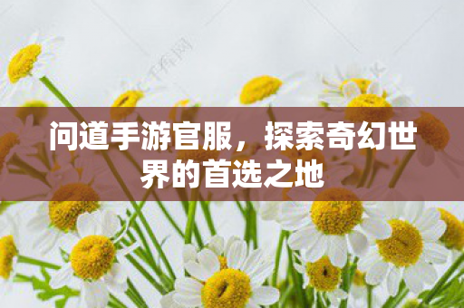 问道手游官服，探索奇幻世界的首选之地