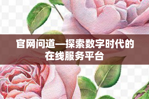 官网问道—探索数字时代的在线服务平台
