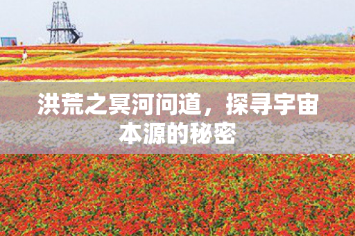 洪荒之冥河问道，探寻宇宙本源的秘密