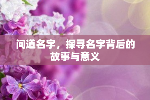问道名字，探寻名字背后的故事与意义