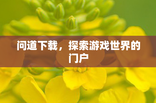 问道下载,探索游戏世界的门户 问道下载,探索游戏世界的门户