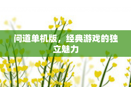 问道单机版，经典游戏的独立魅力