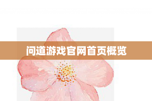 问道游戏官网首页概览