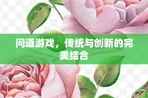 问道游戏，传统与创新的完美结合