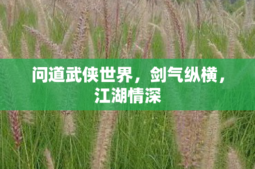 问道武侠世界，剑气纵横，江湖情深