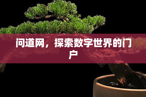问道网,探索数字世界的门户 问道网,探索数字世界的门户