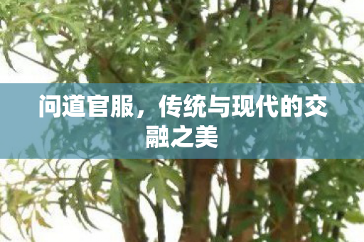 问道官服，传统与现代的交融之美
