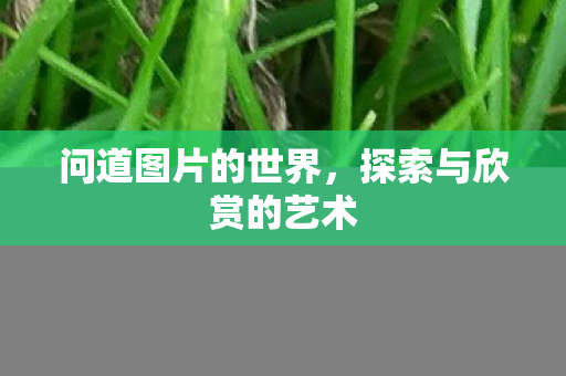 问道图片的世界，探索与欣赏的艺术