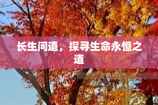 长生问道，探寻生命永恒之道
