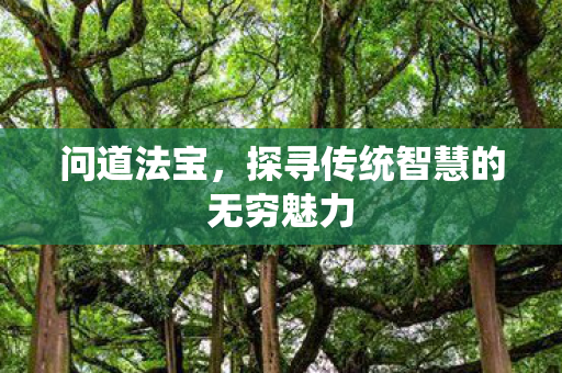问道法宝，探寻传统智慧的无穷魅力