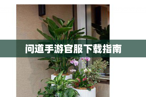 问道手游官服下载指南