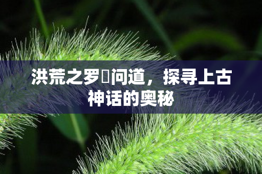 洪荒之罗睺问道，探寻上古神话的奥秘